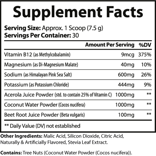 Blue Raspberry Electrolyte Hydration – Sugar-Free | Refreshing & Rapid Rehydration Formula